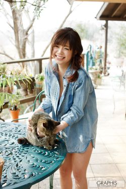 太极在线观看
